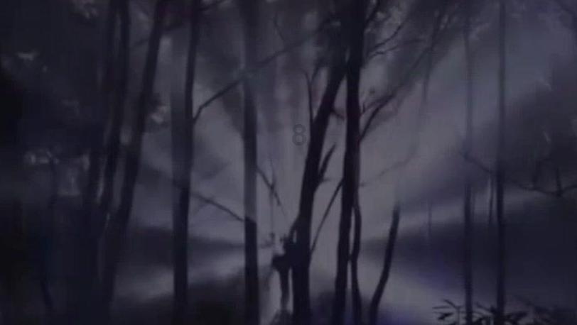 丹墀和丹陛游戏画面
